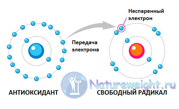 схема реакции с антиоксидантами