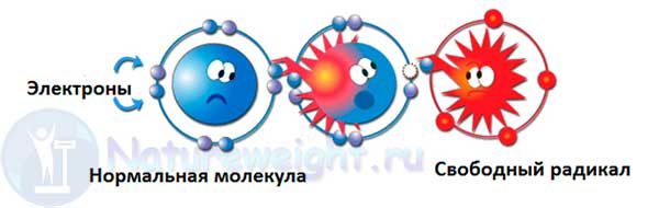 схематическое изображении реакций со свободными радикалами